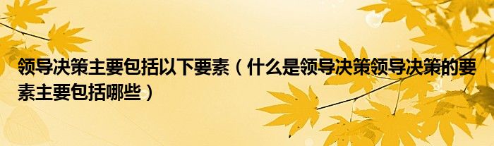 領(lǐng)導(dǎo)決策主要包括以下要素（什么是領(lǐng)導(dǎo)決策領(lǐng)導(dǎo)決策的要素主要包括哪些）