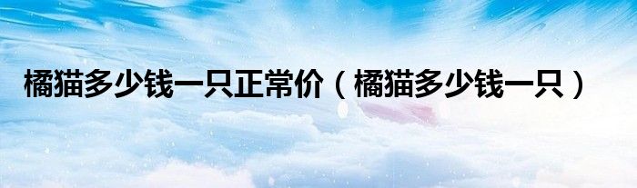 橘貓多少錢一只正常價（橘貓多少錢一只）