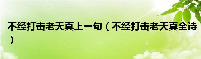不經(jīng)打擊老天真上一句（不經(jīng)打擊老天真全詩）