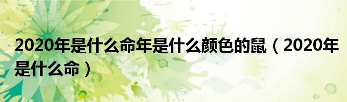 2020年是什么命年是什么顏色的鼠（2020年是什么命）