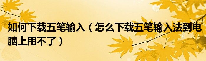 如何下載五筆輸入（怎么下載五筆輸入法到電腦上用不了）