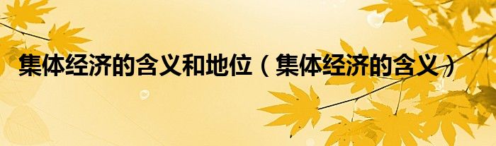 集體經(jīng)濟(jì)的含義和地位（集體經(jīng)濟(jì)的含義）