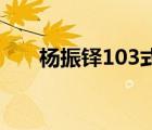 楊振鐸103式全部教學(xué)視頻（楊振鐸）