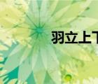 羽立上下結(jié)構(gòu)讀什么（羽立）