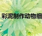 彩泥制作動物細胞模型（制作動物細胞模型）