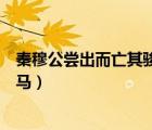 秦穆公嘗出而亡其駿馬的亡什么意思（秦穆公嘗出而亡其駿馬）