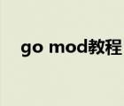 go mod教程（gomd盜版怎么加mod）