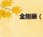 金剛藤（說一說金剛藤的簡(jiǎn)介）