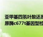 亞甲基四氫葉酸還原酶基因檢測結(jié)果ct（亞甲基四氫葉酸還原酶c677t基因型檢測意義）