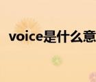voice是什么意思翻譯（voice是什么意思）
