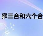 猴三合和六個(gè)合生肖是什么（猴的六合生肖）