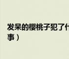 發(fā)呆的櫻桃子犯了什么錯(cuò)誤（發(fā)呆的櫻桃子怎么了出了什么事）