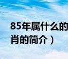 85年屬什么的生肖（說一說85年屬什么的生肖的簡介）