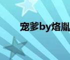 寵爹by烙胤全文閱讀（寵爹by烙胤）