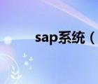 sap系統(tǒng)（說一說sap系統(tǒng)的簡介）
