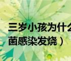 三歲小孩為什么會(huì)細(xì)菌感染發(fā)燒（為什么會(huì)細(xì)菌感染發(fā)燒）