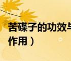 苦碟子的功效與作用及禁忌（苦碟子的功效與作用）