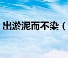 出淤泥而不染（說(shuō)一說(shuō)出淤泥而不染的簡(jiǎn)介）