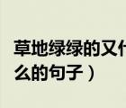 草地綠綠的又什么又什么的句子（又什么又什么的句子）