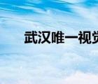 武漢唯一視覺婚紗館（武漢唯一視覺）