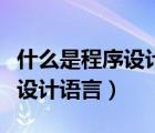 什么是程序設計語言及組成要素（什么是程序設計語言）