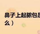 鼻子上起膿包是什么原因（鼻子上起膿包是什么）