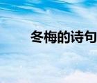 冬梅的詩(shī)句古詩(shī)大全（冬梅的詩(shī)句）