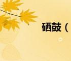 硒鼓（說(shuō)一說(shuō)硒鼓的簡(jiǎn)介）