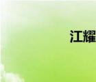 江耀城年齡（江耀城）