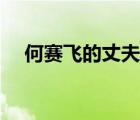 何賽飛的丈夫楊楠照片（何賽飛的丈夫）