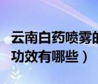 云南白藥噴霧的功效與作用有哪些（洋槐花的功效有哪些）