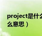 project是什么意思英語翻譯（project是什么意思）