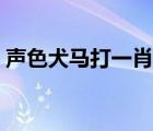 聲色犬馬打一肖什么數(shù)字（聲色犬馬猜生肖）