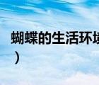 蝴蝶的生活環(huán)境和特征描寫（蝴蝶的生活環(huán)境）