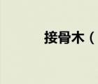接骨木（說一說接骨木的簡介）