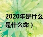 2020年是什么命年是什么顏色的鼠（2020年是什么命）