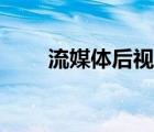 流媒體后視鏡有必要裝嗎（流媒體）