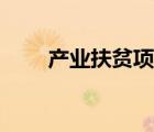 產(chǎn)業(yè)扶貧項(xiàng)目實(shí)施方案（扶貧方案）
