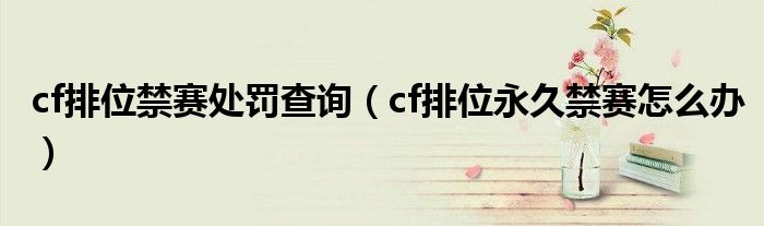 cf排位禁賽處罰查詢（cf排位永久禁賽怎么辦）