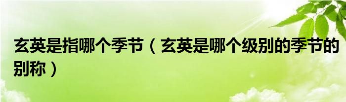 玄英是指哪個季節(jié)（玄英是哪個級別的季節(jié)的別稱）
