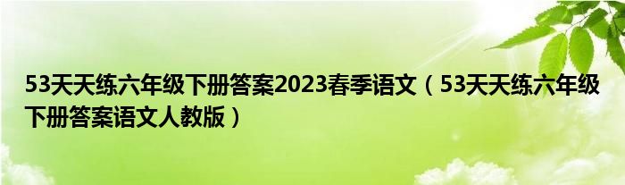 53天天練六年級下冊答案2023春季語文（53天天練六年級下冊答案語文人教版）