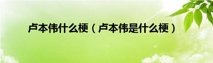 盧本偉什么梗（盧本偉是什么梗）
