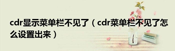 cdr顯示菜單欄不見(jiàn)了（cdr菜單欄不見(jiàn)了怎么設(shè)置出來(lái)）