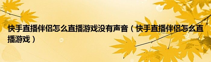 快手直播伴侶怎么直播游戲沒有聲音（快手直播伴侶怎么直播游戲）