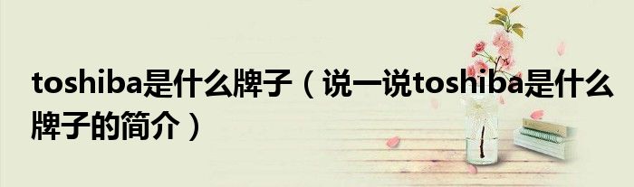 toshiba是什么牌子（說(shuō)一說(shuō)toshiba是什么牌子的簡(jiǎn)介）