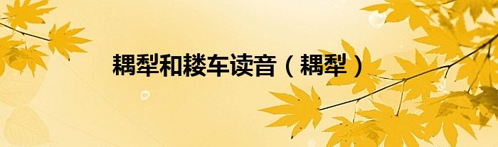 耦犁和耬車讀音（耦犁）