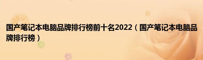 國(guó)產(chǎn)筆記本電腦品牌排行榜前十名2022（國(guó)產(chǎn)筆記本電腦品牌排行榜）