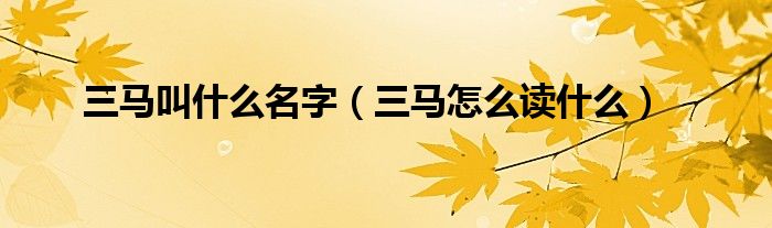 三馬叫什么名字（三馬怎么讀什么）
