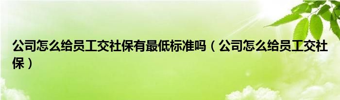 公司怎么給員工交社保有最低標(biāo)準(zhǔn)嗎（公司怎么給員工交社保）