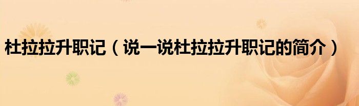 杜拉拉升職記（說一說杜拉拉升職記的簡介）
